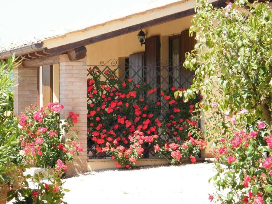 Agriturismo Casale del Contadino Bolsena Exterior foto